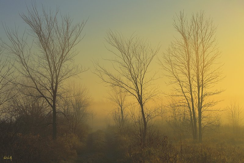 08  WI--Ozaukee County 104  1200px  V1  SS.jpg :: \