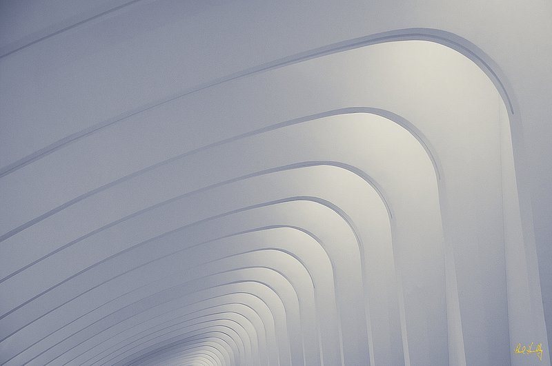 12  WI--Calatrava 005  1200px  V1  SS.jpg
