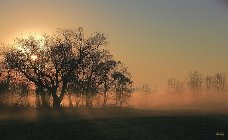 14  WI--Ozaukee County 103  1200px  V1  SS.jpg :: Ulao Federal Waterfowl Production Area (adjacent to Lions Den Nature Preserve.).  Ozaukee County, Wisconsin.  Sunrise through the fog.  November, 2010; AM shoot.  Photograph by Paul Hundley.  