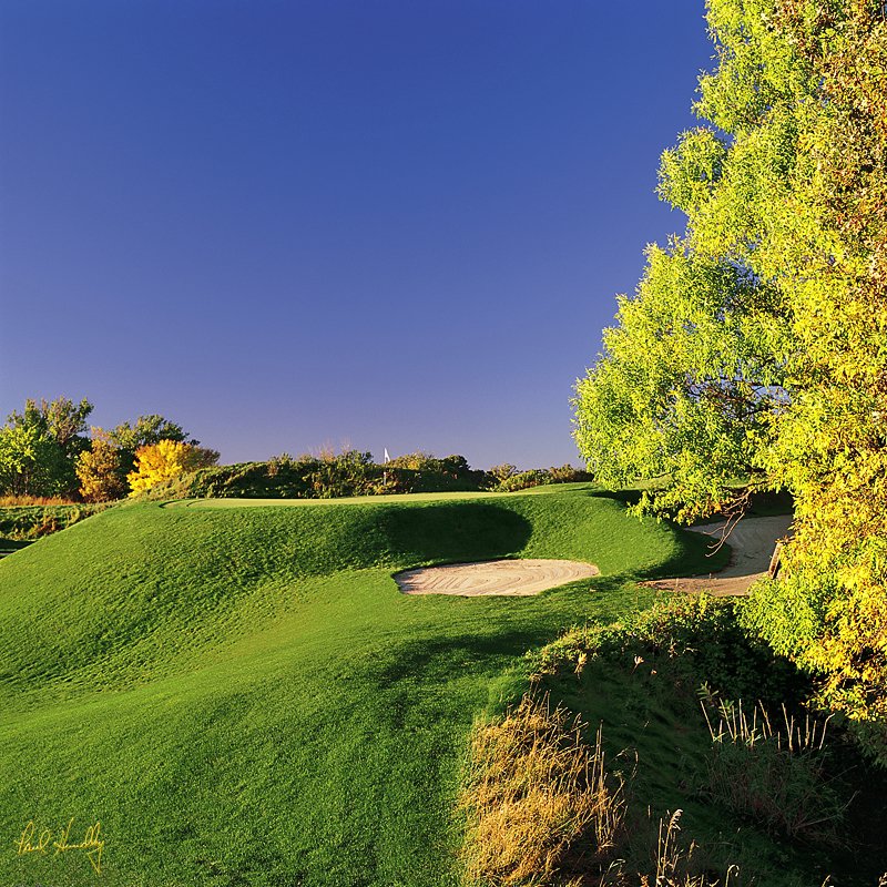 B100b--1301  (AR  1.00  AR).jpg :: Thirteenth hole; Meadow Valleys Course; Blackwolf Run; Kohler; Wisconsin