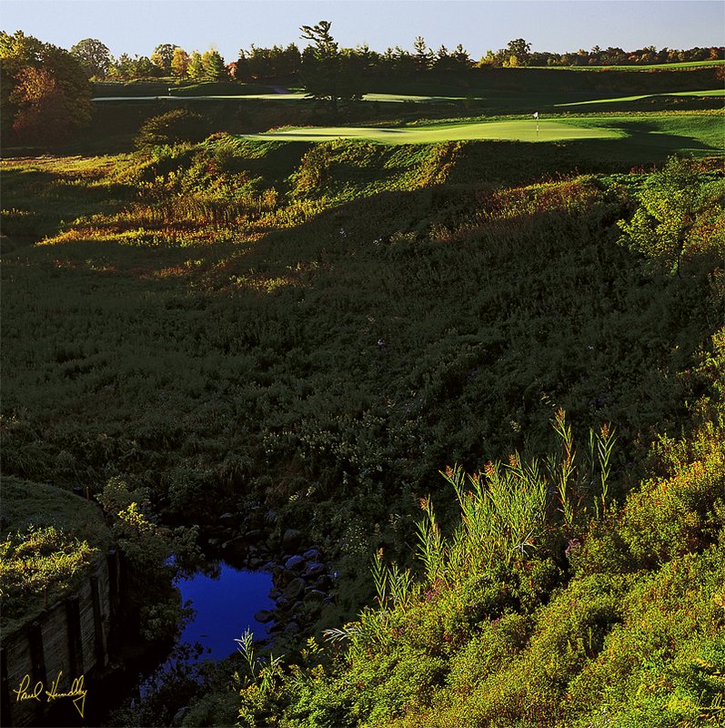 B100b--15xy  (AR  1.00  AR).jpg :: Fifteenth hole; Meadow Valleys Course; Blackwolf Run; Kohler; Wisconsin