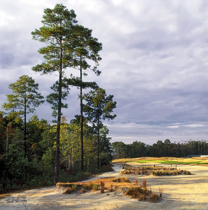 B113a--1601  (1.00  AR).jpg :: The sixteenth hole at Barefoot Landing GC; The Pete Dye Course; North Myrtle Beach, SC