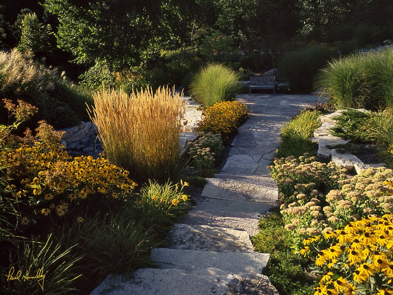 C-- 06  800px.jpg :: Private garden on the Lake Michigan shoreline.Location and identity withheld.