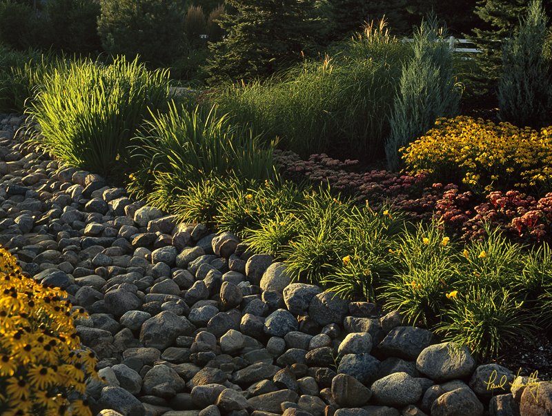 C-- 22  800px.jpg :: Private garden on the Lake Michigan shoreline.Location and identity withheld.