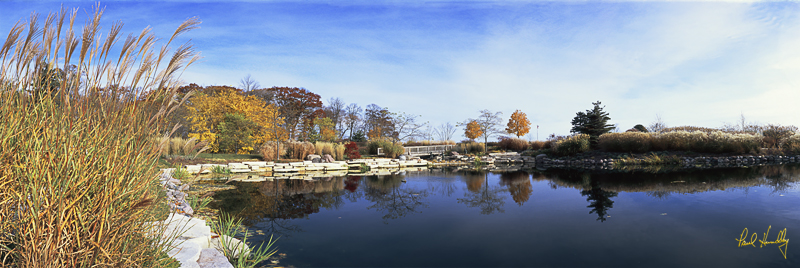 C-- 34  800px.jpg :: Private garden on the Lake Michigan shoreline.Location and identity withheld.