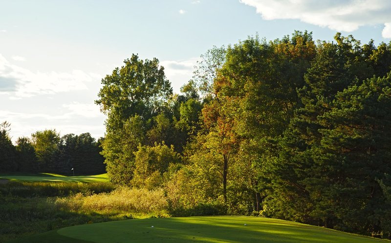 C111--0653  1200px  V1  SS with signature.jpg :: The (par 3) 6th hole at Conway Farms GC, a private country club in Lake Forest, Illinois.  Course design by Tom Faxio.  Site of the 2012 USGA Mid Amateur Championship and the PGA's 2013 BMW Championship.  October, 2010.  PM shoot.  Photograph by Paul Hundley.