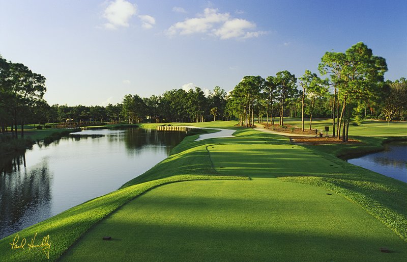 D101--0313  (1.55 AR)1.jpg :: Third hole; The Dye Preserve; Jupiter, Florida