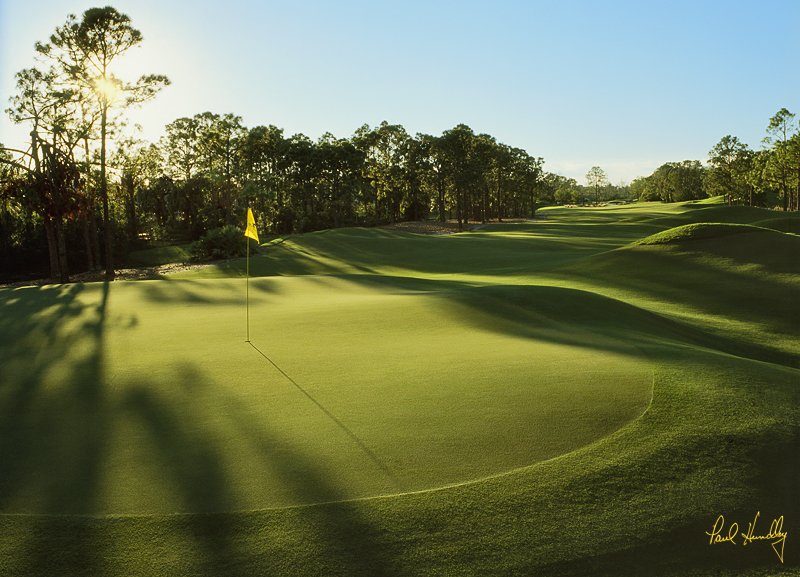 D101--1503  (1.40 AR).jpg :: Fifteenth hole; The Dye Preserve; Jupiter, Florida
