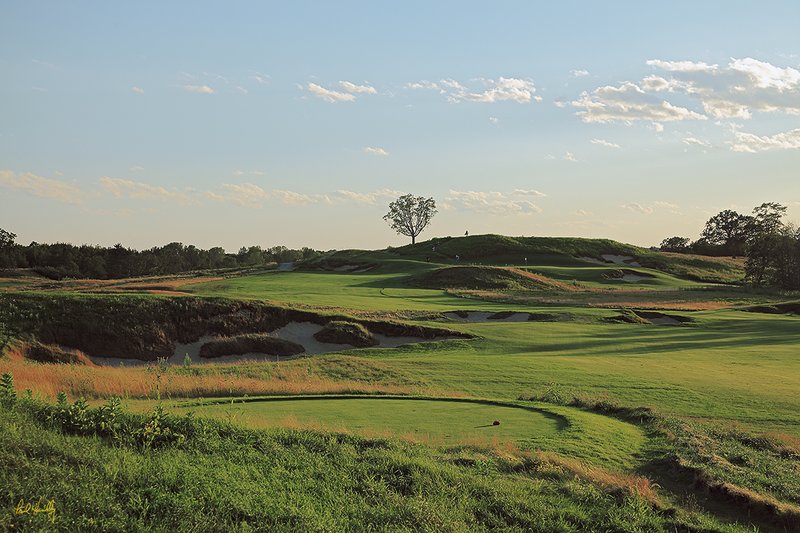 E101--1451  1200px  V1  SS.jpg :: 14th hole at Erin Hills; Erin, Wisconsin.  Erin Hills, a daily fee course, was designed by Hurdzan/Fry Designs and built by Landscapes Unlimited, LLC.; photo by Paul Hundley in August, 2010; PM shoot; print aspect ratio 0.65:1