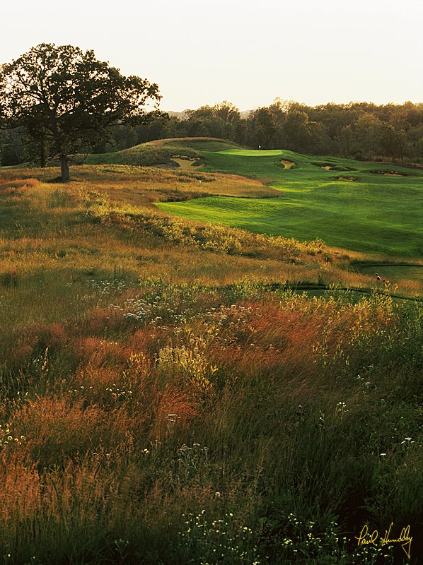 E101--1507  800px.jpg :: Erin Hills golf course, fifteenth hole; Erin, Wisconsin