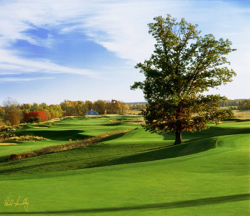 H102--1303  800px.jpg :: Horseshoe Bay Golf Club, thirteenth hole; Egg Harbor, Wisconsin