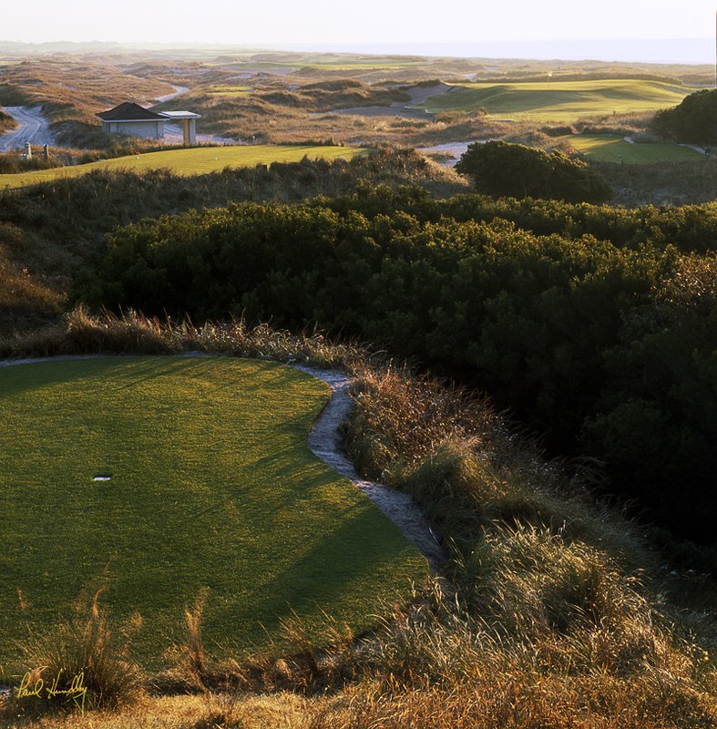 K102a--1404  (0.98 AR).jpg :: The Ocean Course at Kiawah Island; fourteenth hole