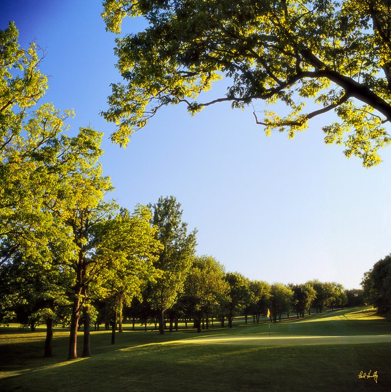 M108--0601  (1.00  AR).jpg :: Sixth hole Merrill Hills Country Club; Waukesha, WIsconsin