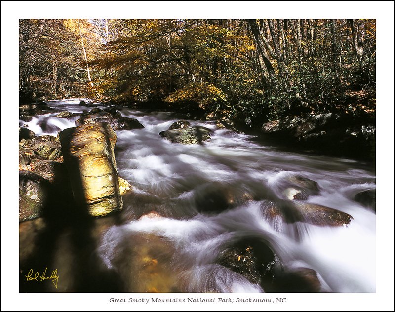 NC--0001  FPO  USM.jpg :: Great Smoky Mountains National Park