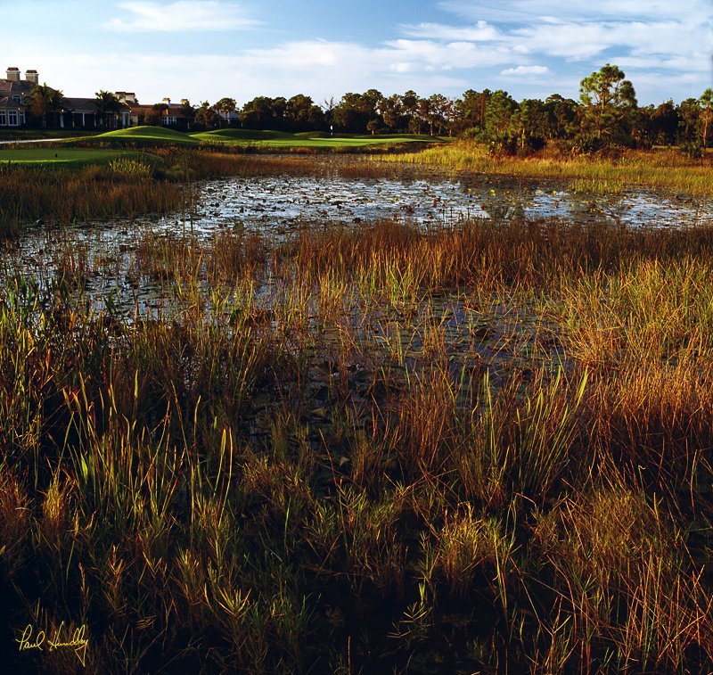 O106--0301  (1.06 AR).jpg :: Third hole, Old Marsh Golf Club; Palm Beach Gardens, Florida