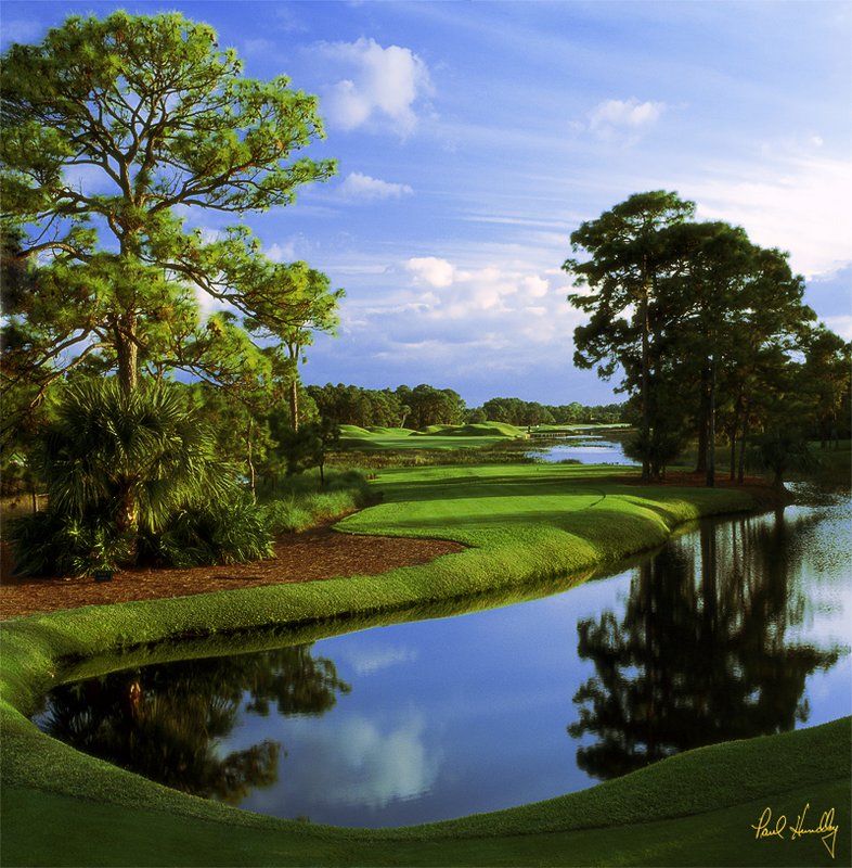 O106--0501  (0.98 AR).jpg :: Fifth hole from the back tees, Old Marsh Golf Club; Palm Beach Gardens, Florida