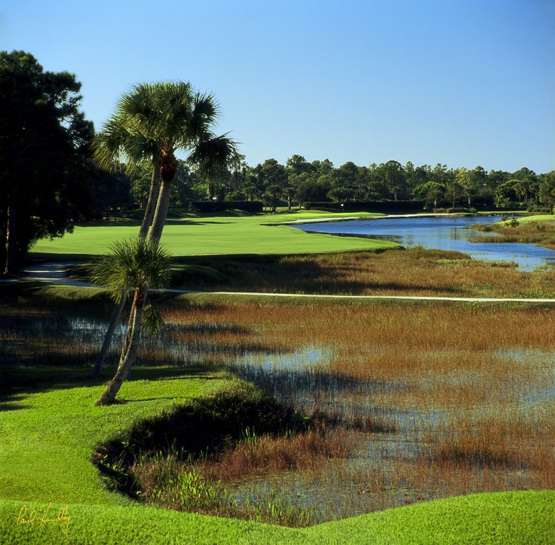 O106--0602  (1.00 AR).jpg :: Sixth hole, Old Marsh Golf Club; Palm Beach Gardens, Florida