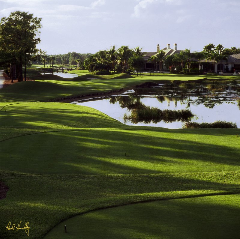 O106--0801  (1.00 AR).jpg :: Eighth hole from the back tees, Old Marsh Golf Club; Palm Beach Gardens, Florida