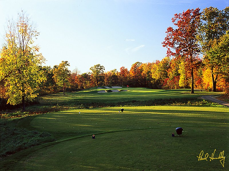 R105--0801  (1.35  AR)1.jpg :: Eighth hole from the tree at The Ravines; Saugatuck, Michigan