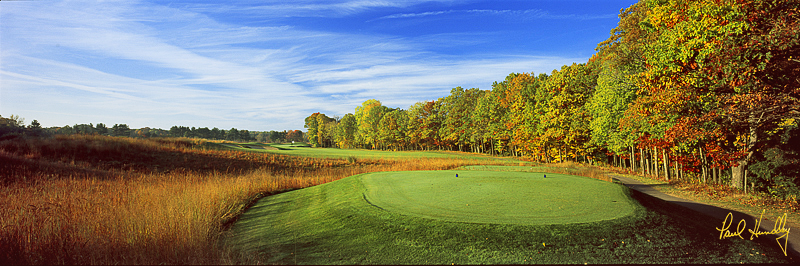 R105--1301  (3.00  AR)1.jpg :: Thirteenth hole from the tree at The Ravines; Saugatuck, Michigan