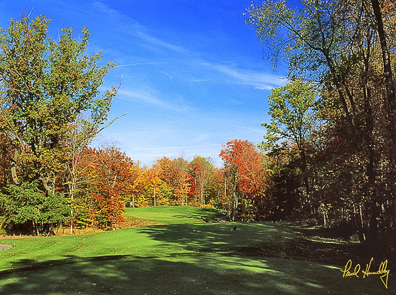 R105--1701  (1.35  AR)1.jpg :: Seventeenth hole from the tree at The Ravines; Saugatuck, Michigan