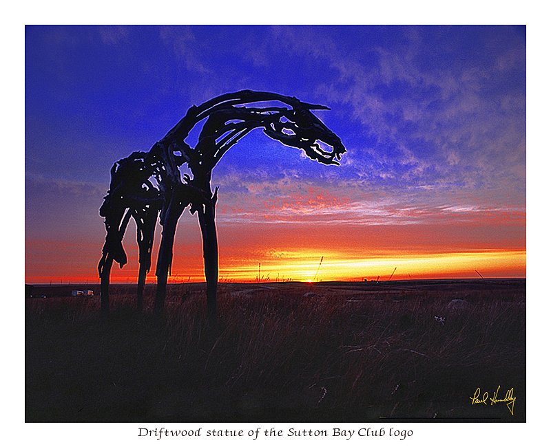 S114--0003.jpg :: Driftwood statue of the Sutton Bay Club's logo