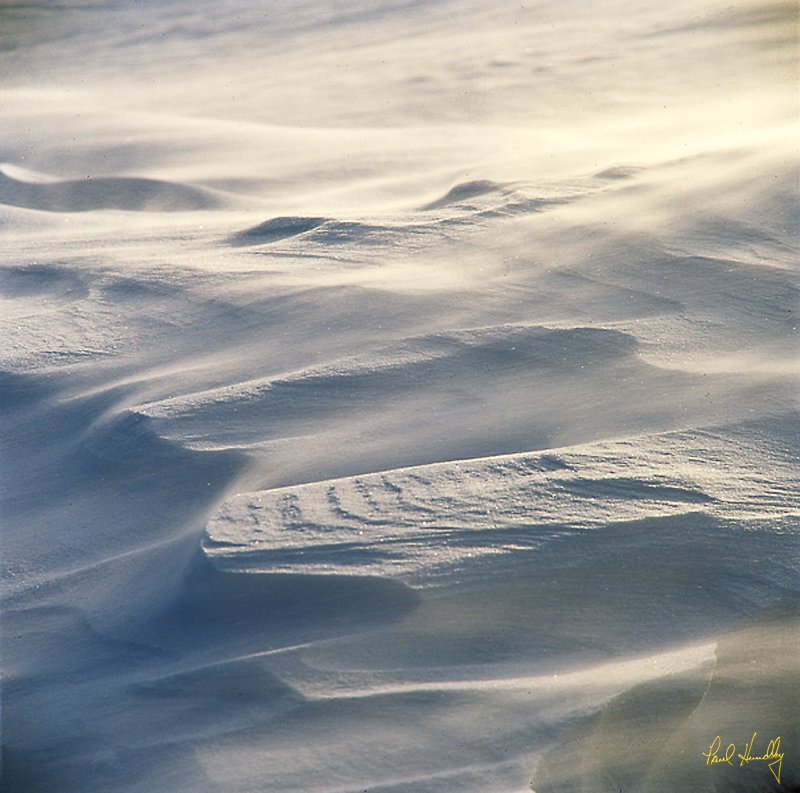 Snow  009  800px.jpg :: Wind-driven snow; Grafton, Wisconsin