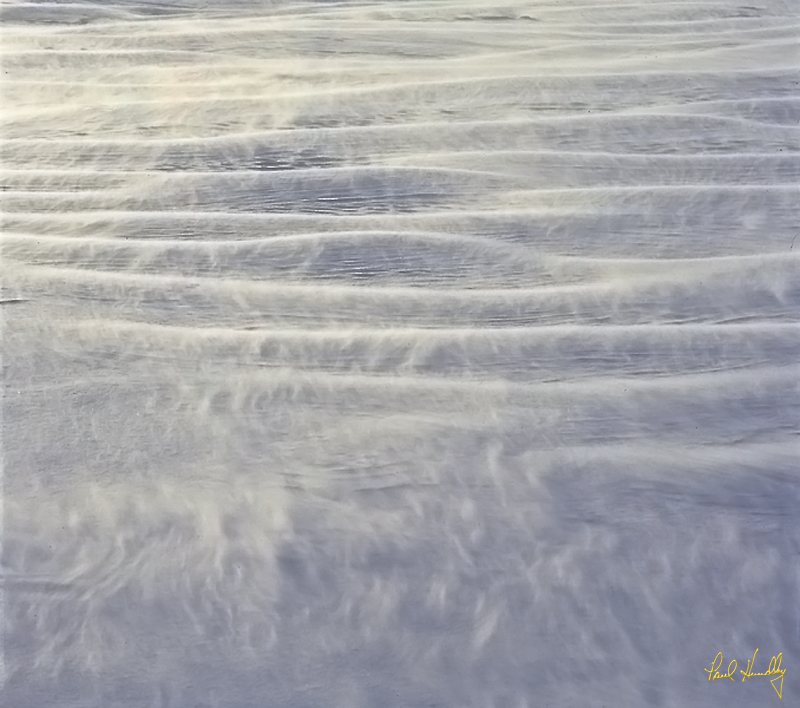 Snow  011  800px.jpg :: Wind-driven snow; Grafton, Wisconsin