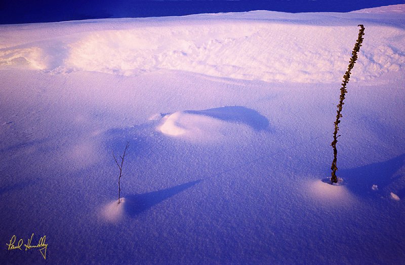 Snow  015  800px.jpg :: Snow bank at sunset