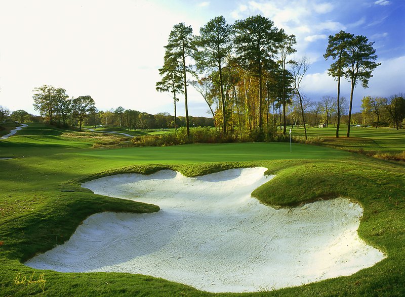 W112--1507  FPO AR .735.jpg :: Fifteenth hole @ Willow Oaks CC; Richmond, Virginia