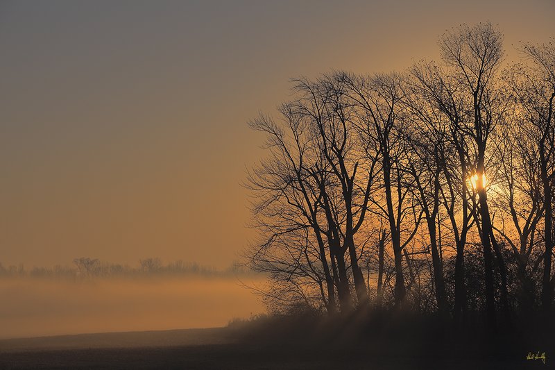 WI--Ozaukee County 101  1200px V1  SS1.jpg :: Ulao Federal Waterfowl Production Area (adjacent to Lions Den Nature Preserve.).  Ozaukee County, Wisconsin.  Sunrise through the fog.  November, 2010; AM shoot.  Photograph by Paul Hundley.  