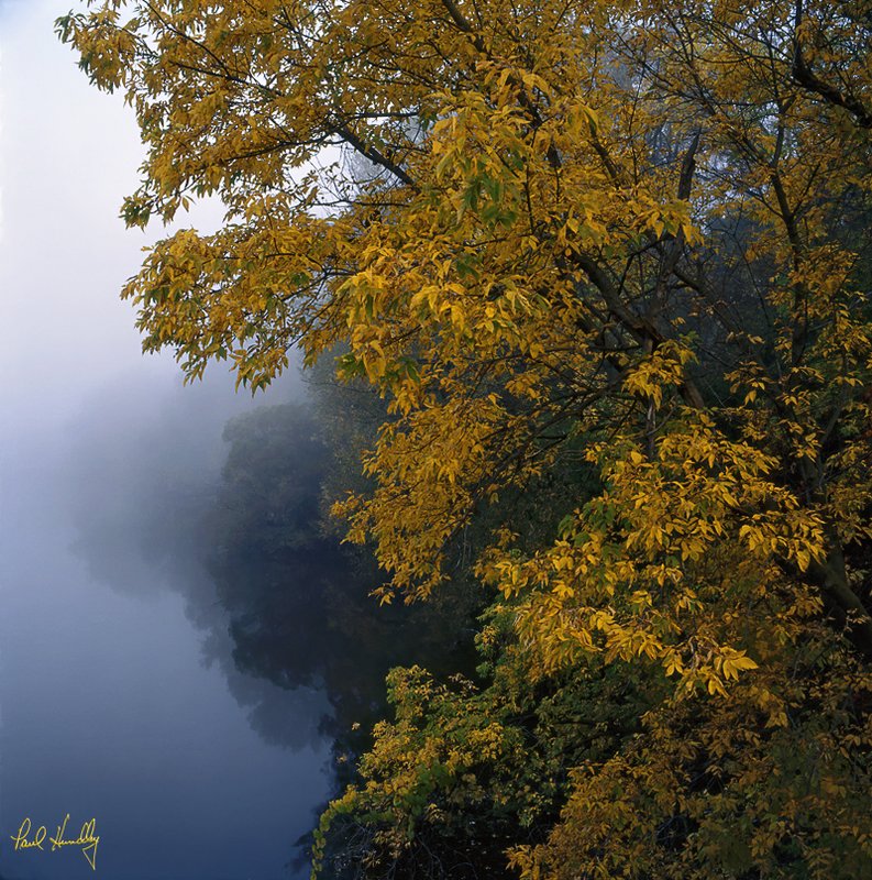 WI--Ozaukee county 029  800px.jpg :: The Milwaukee River from the Highland Road Bridge; Ozaukee County, Wisconsin