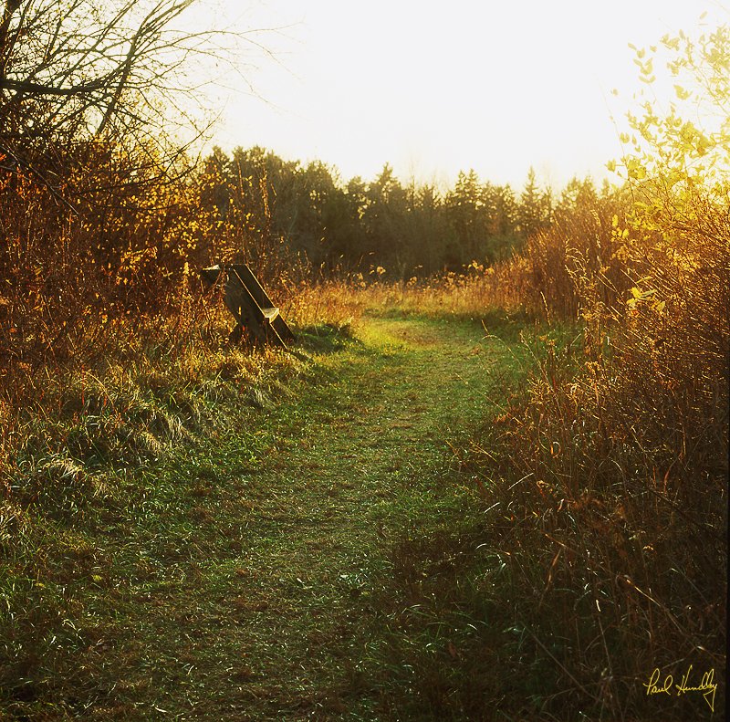 WI--Schlitz Audubon  001.jpg :: Path and bench; Schlitz Audubon Center; Milwaukee; Wisconsin