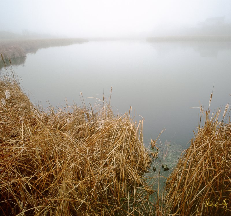 WI--Washington county 002.jpg :: Pond and cattails off of Cedar Sauk Road; Washington County, Wisconsin