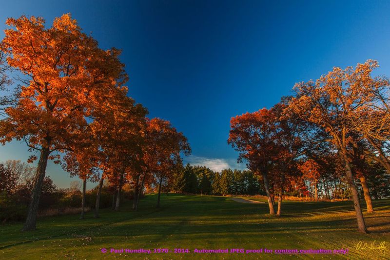 Approval proof - O100--1351-04  RAW  12x18  aRGB-16  5DM2.jpg