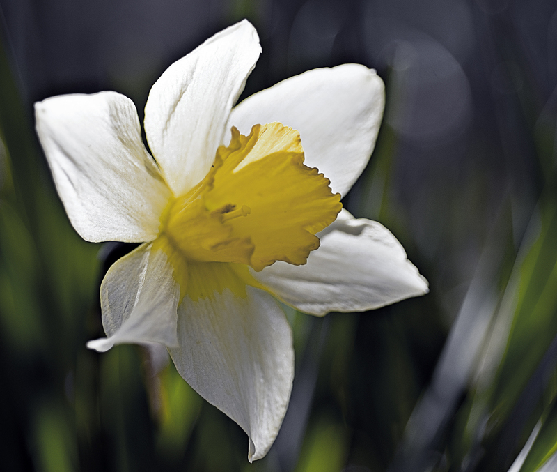 DSC_9535-2.jpg
