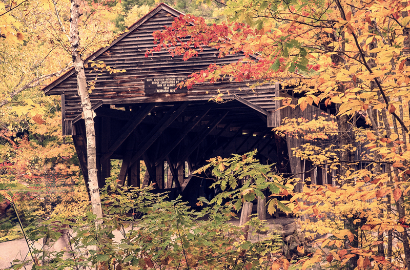 albany cvr br albany nh DSC_6441 copy.jpg