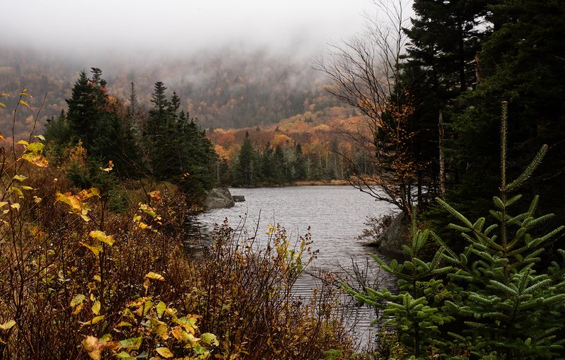 beaver pond nh DSC_6493 copy.jpg