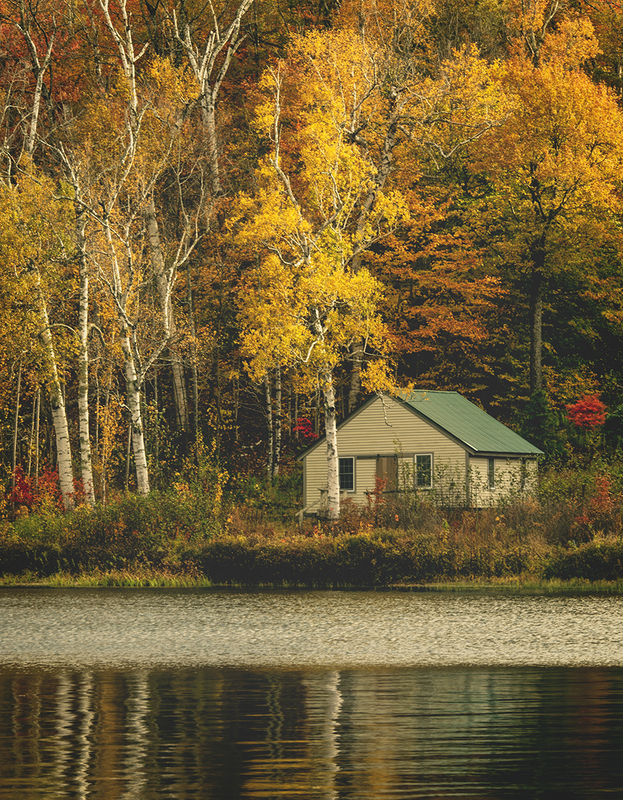 cabin yellow trees DSC_7304-Enhanced-NR copy.jpg