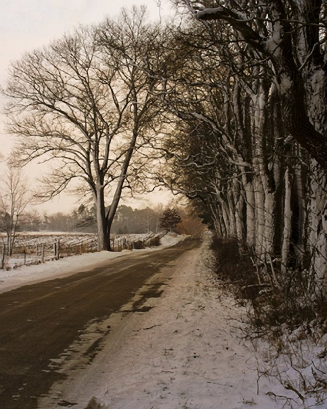 county rd 9 b donaldson indiana DSC_5555.jpg