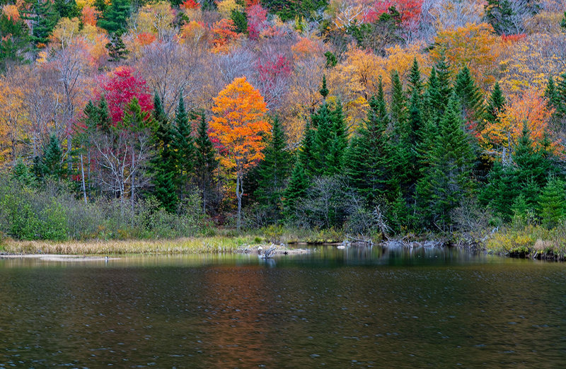crawford notch nh color DSC_6262 copy.jpg