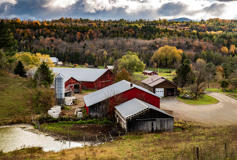 farm wheelock vt DSC_5962 copy.jpg