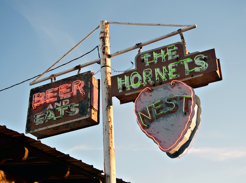 hornest nest earle in DSC_5086(1).jpg