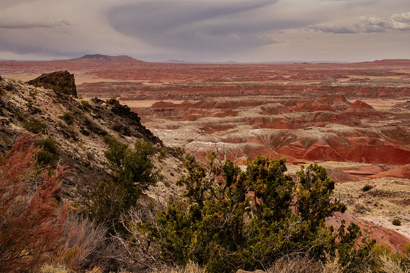 painted desert DSC_9679 copy.jpg