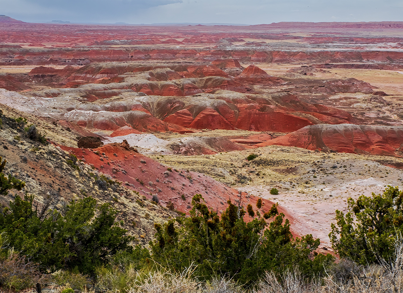 painted desert DSC_9681 copy.jpg