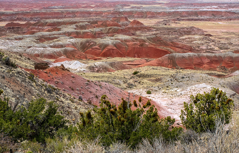 painted desert DSC_9682 copy.jpg