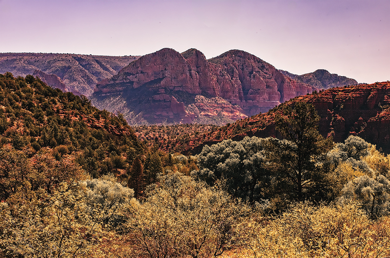 sedona DSC_9089 copy.jpg