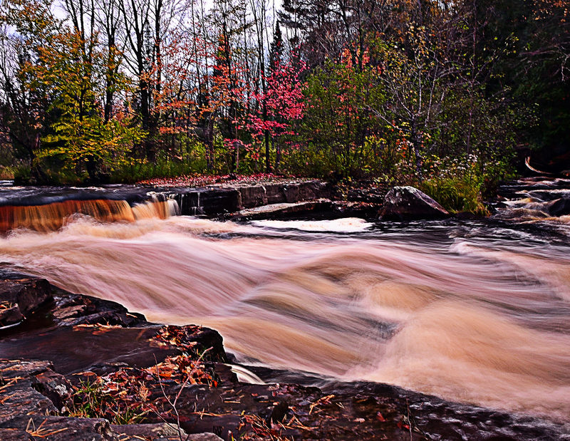 sturgeon river DSC_6776(1).jpg