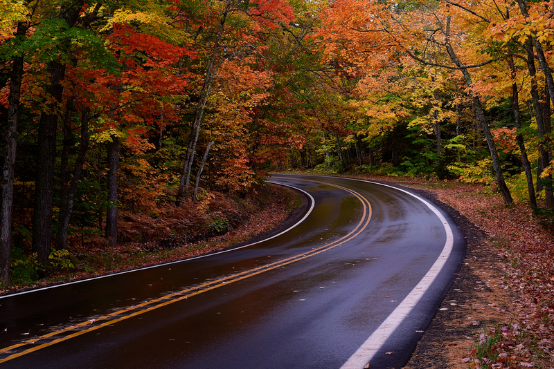 us 41 tunnel of trees DSC_5298.jpg