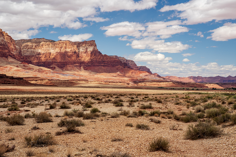 vermillion cliffs DSC_9492 copy.jpg